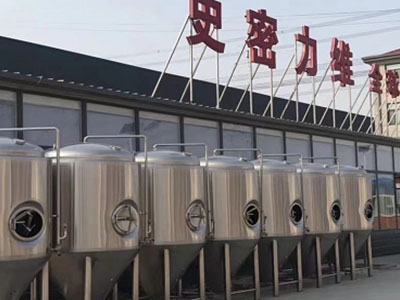 都安精酿啤酒设备厂—市场规模与跨界新需求